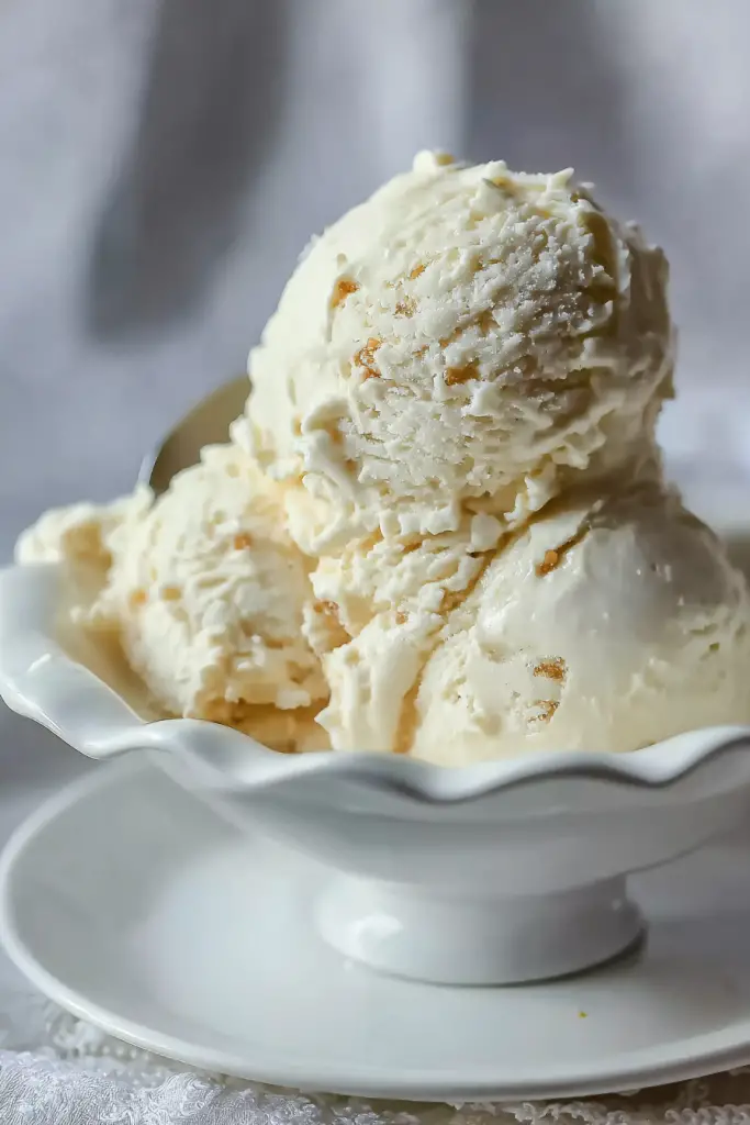 salted malted vanilla ice cream