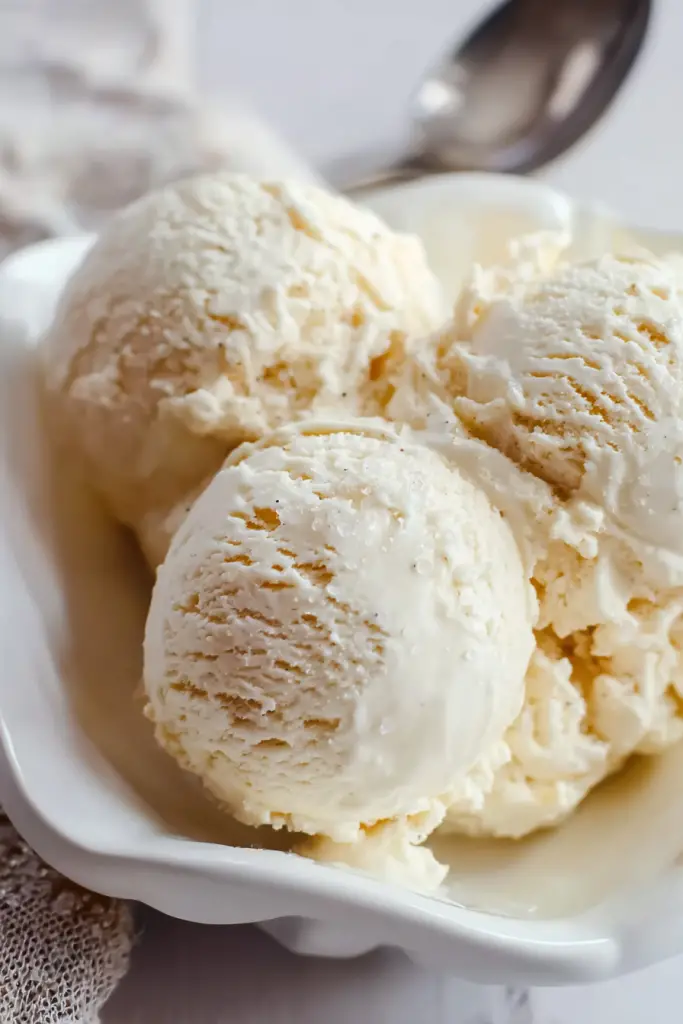 salted malted vanilla ice cream