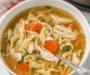 Easy 25-Minute Instant Pot Chicken Noodle Soup Recipe
